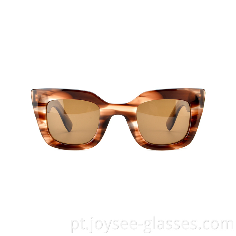 Ladies Sunglasses 3